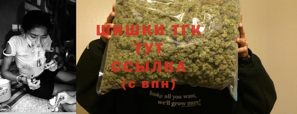 дмт Богданович