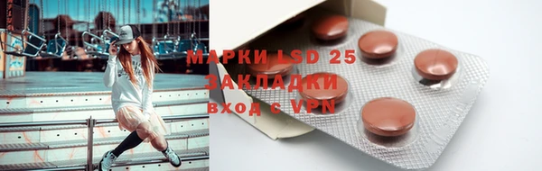 дмт Богданович