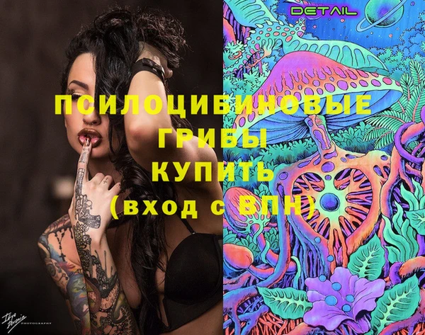 шишки Богородск