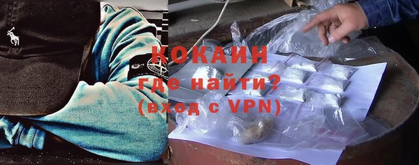 дмт Богданович