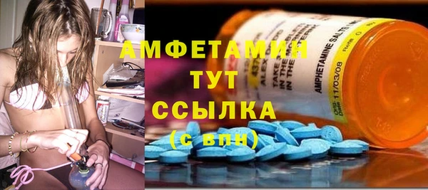 дмт Богданович
