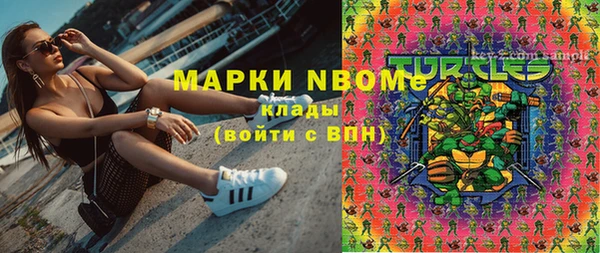 дмт Богданович