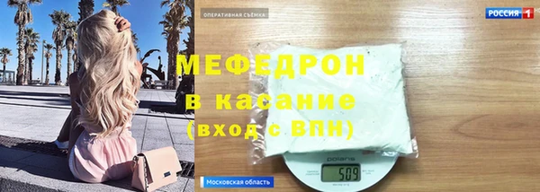 дмт Богданович