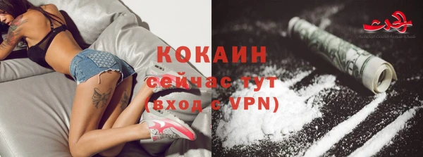 шишки Богородск