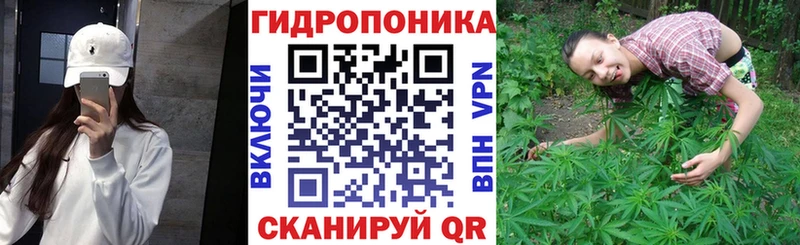 Каннабис ГИДРОПОН  Купить где  Дальнереченск 